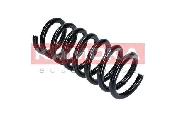 Suspension Spring 2120287