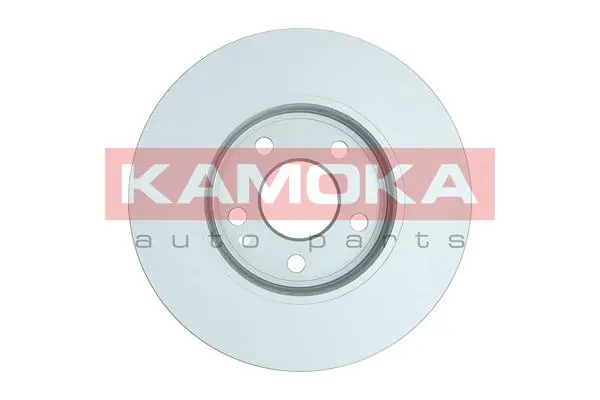 Brake Disc 103341