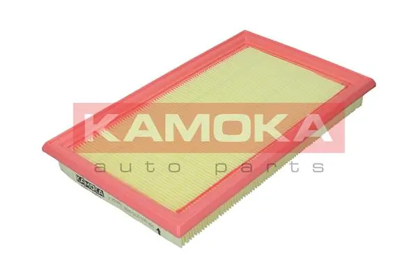 Air Filter F250001