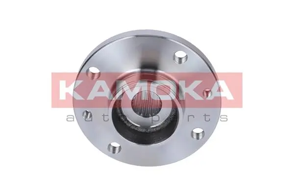 Wheel Hub 5500102