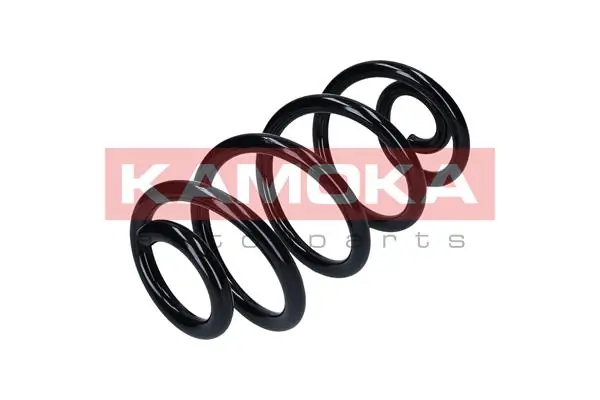 Suspension Spring 2120304