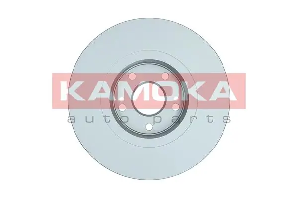 Brake Disc 1032410