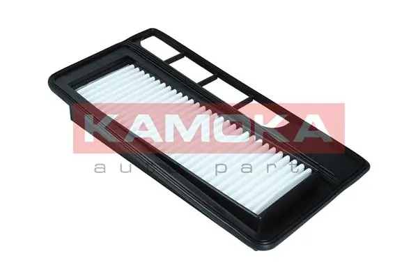 Air Filter F253701