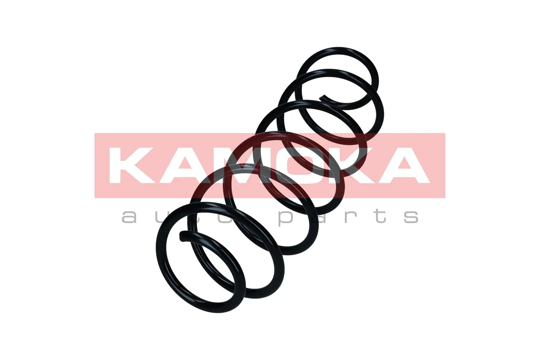 Suspension Spring 2110440