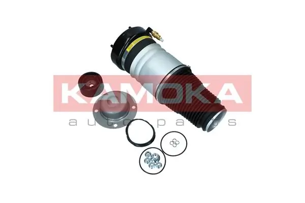 Air Spring, suspension 2079001