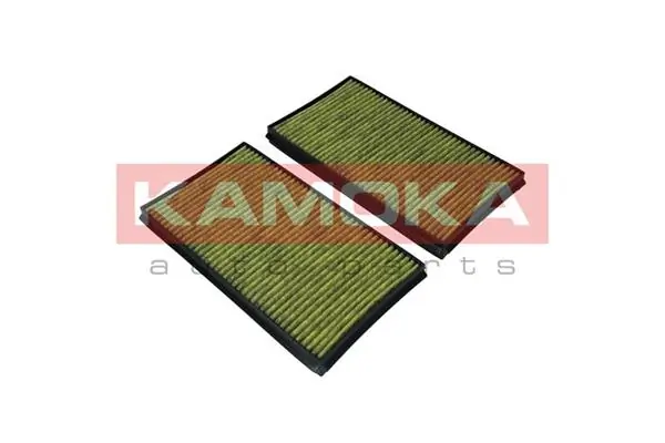 Filter, cabin air 6080033