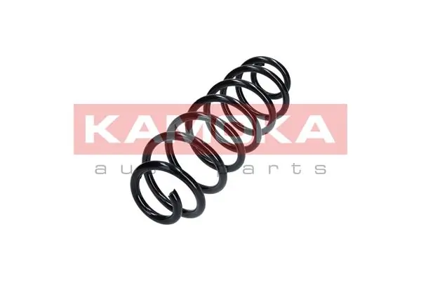 Suspension Spring 2120107