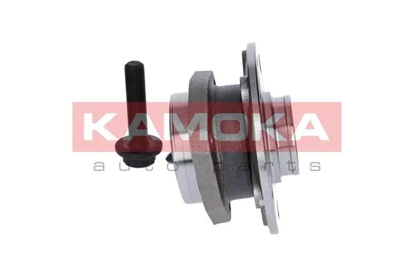 Wheel Bearing Kit 5500100