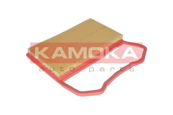 Air Filter F233801