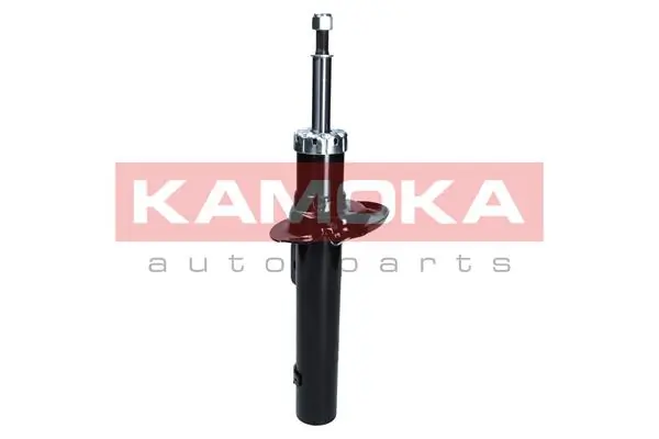 Shock Absorber 2001071