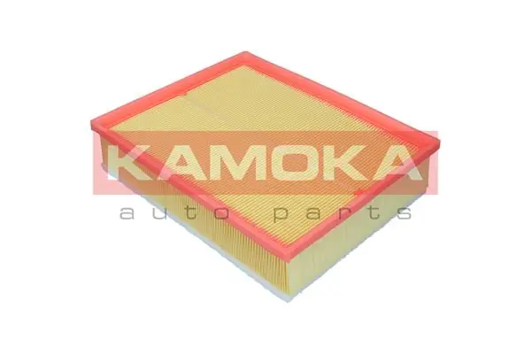 Air Filter F259001