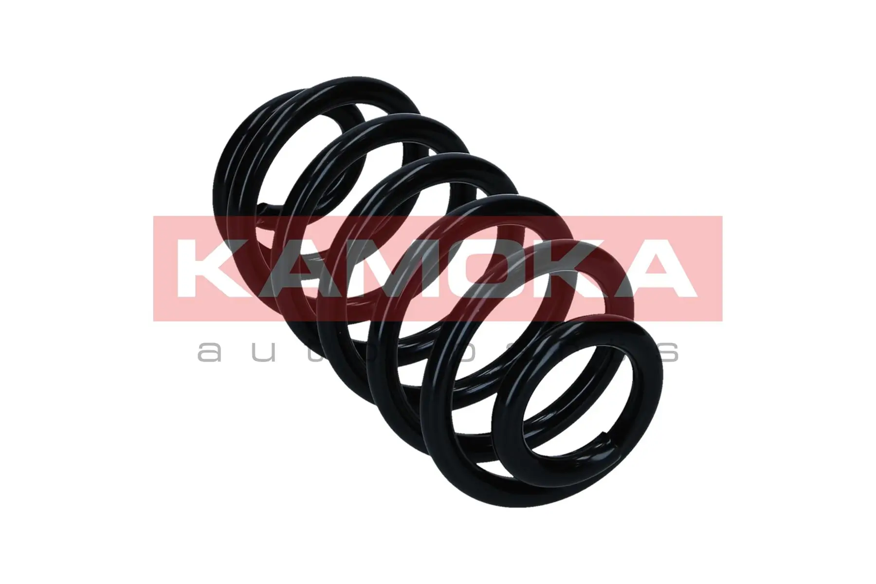 Suspension Spring 2120561