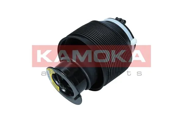 Air Spring, suspension 2079015