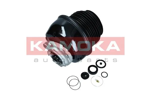 Air Spring, suspension 2079054