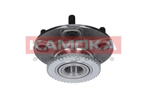 Wheel Bearing Kit 5500035