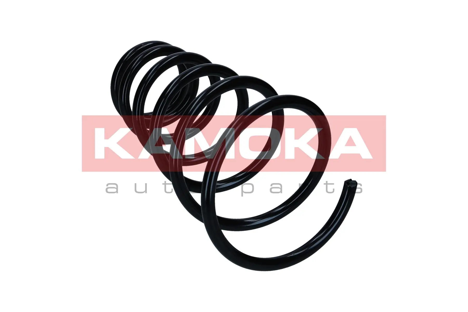 Suspension Spring 2120464