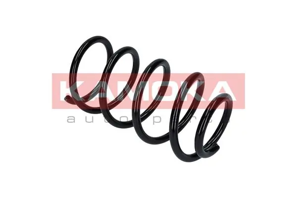 Suspension Spring 2120266