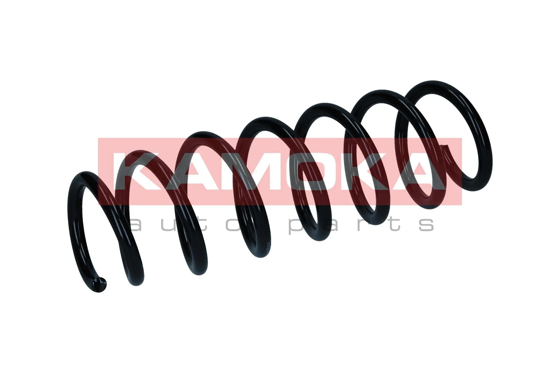 Suspension Spring 2110419