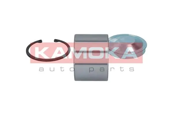 Wheel Bearing Kit 5600062