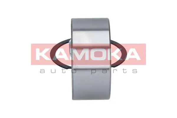 Wheel Bearing Kit 5600085