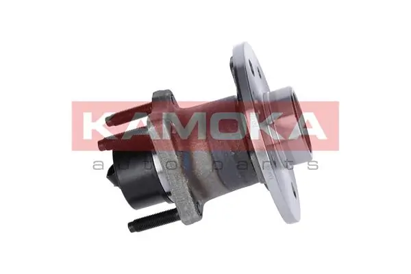 Wheel Bearing Kit 5500064