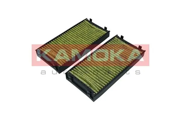 Filter, cabin air 6080061