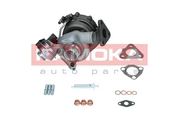 Charger, charging (supercharged/turbocharged) 8600026