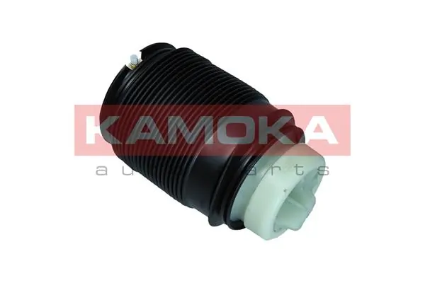 Air Spring, suspension 2079042