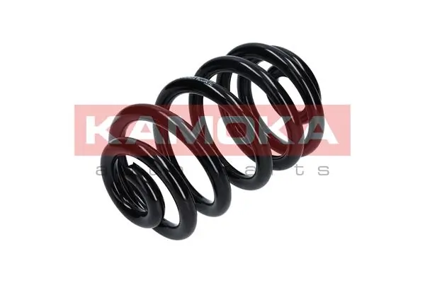 Suspension Spring 2120274