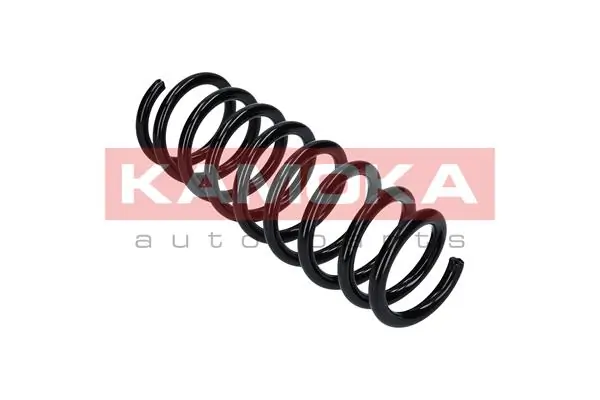 Suspension Spring 2120293