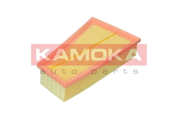 Air Filter F255901