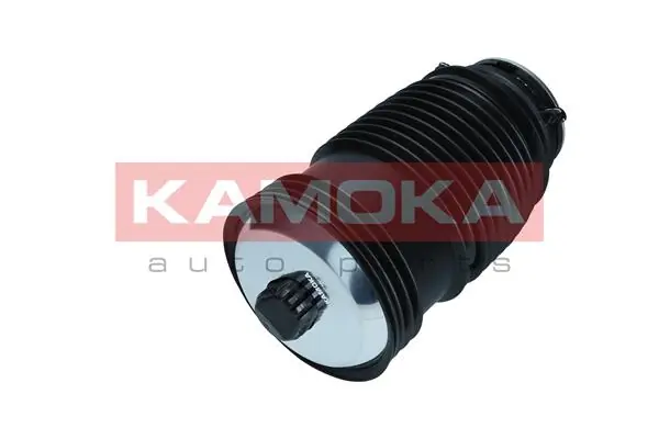 Air Spring, suspension 2079048
