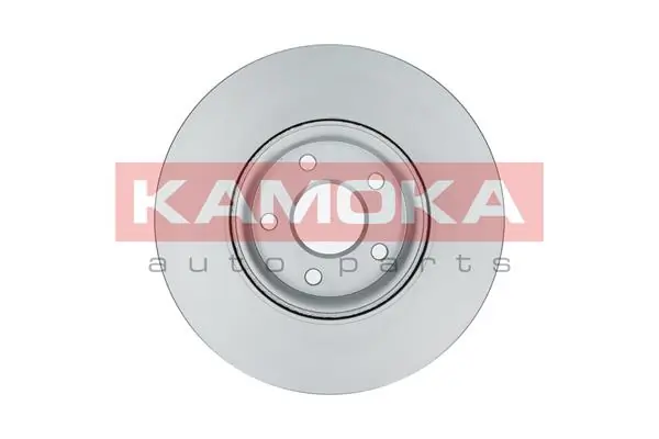 Brake Disc 1031016