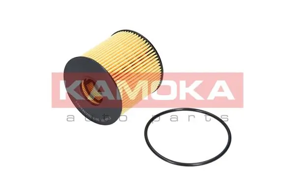 Oil Filter F105701