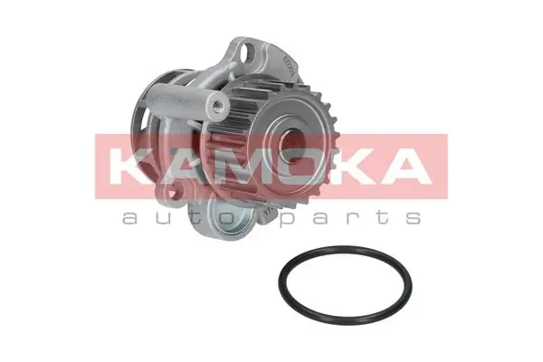 Water Pump, engine cooling T0033