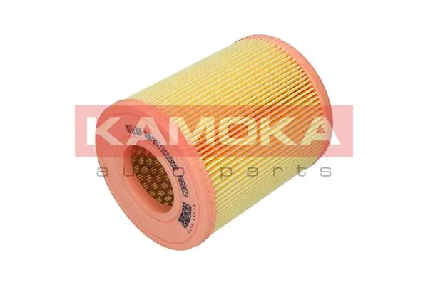 Air Filter F236501