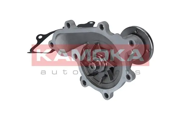 Water Pump, engine cooling T0290