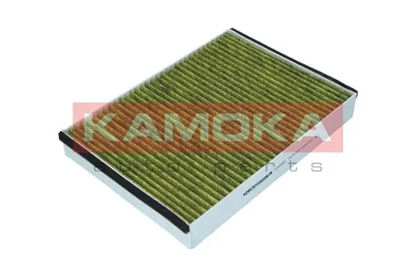 Filter, cabin air 6080050