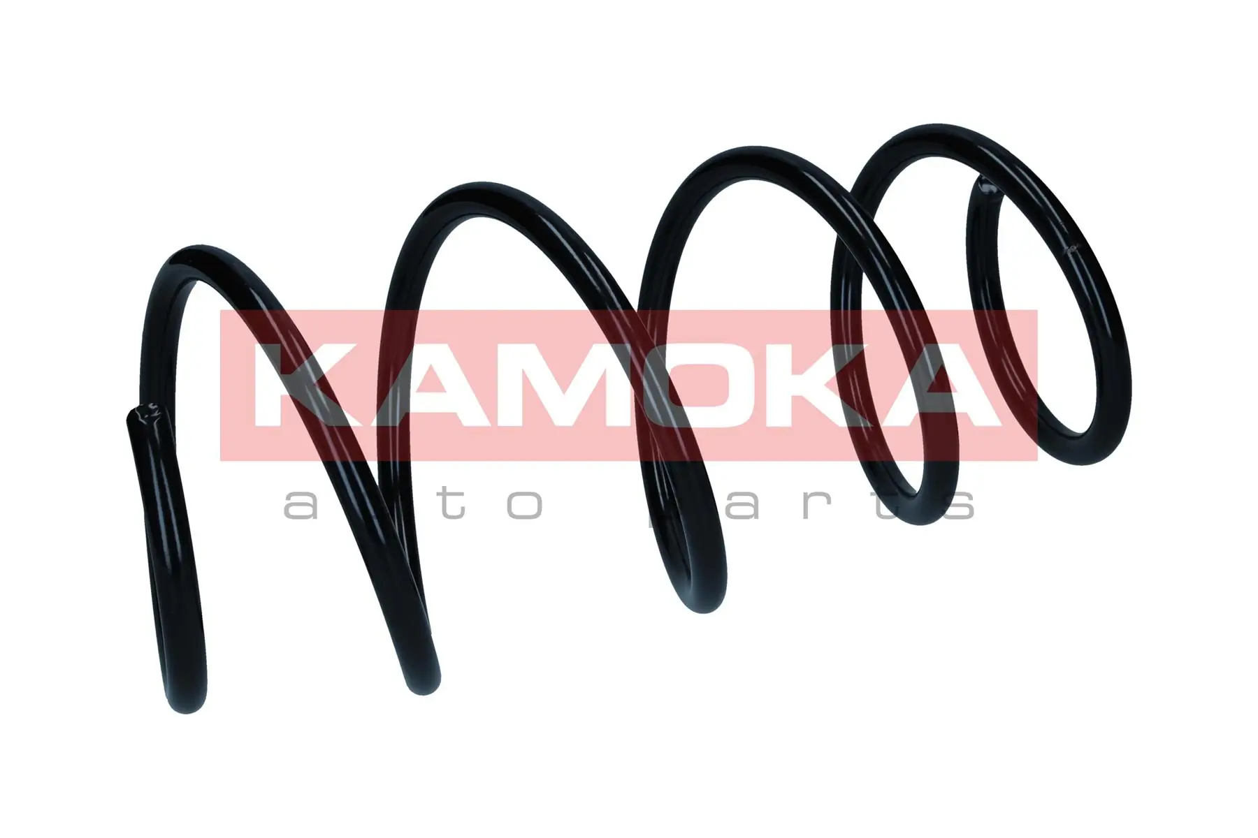 Suspension Spring 2110799