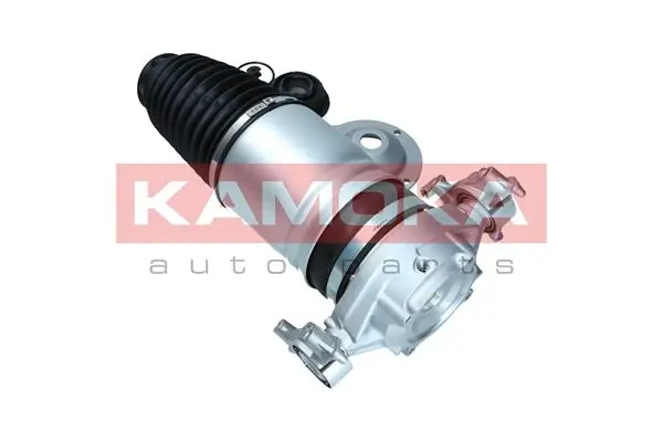 Air Spring, suspension 2079013