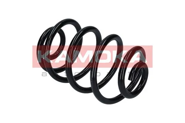 Suspension Spring 2120081