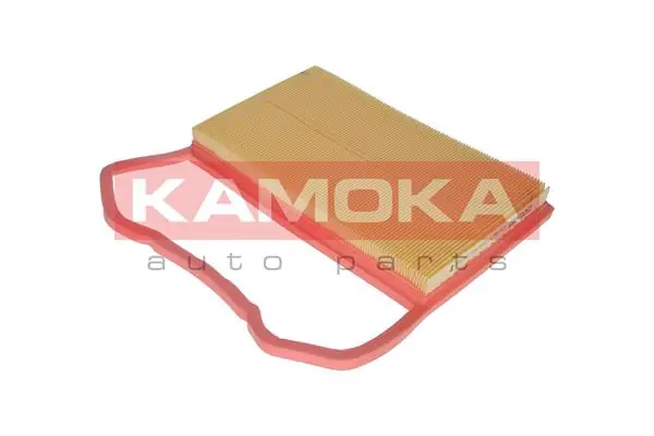 Air Filter F233801