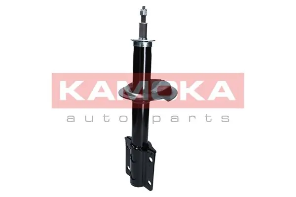 Shock Absorber 2001075
