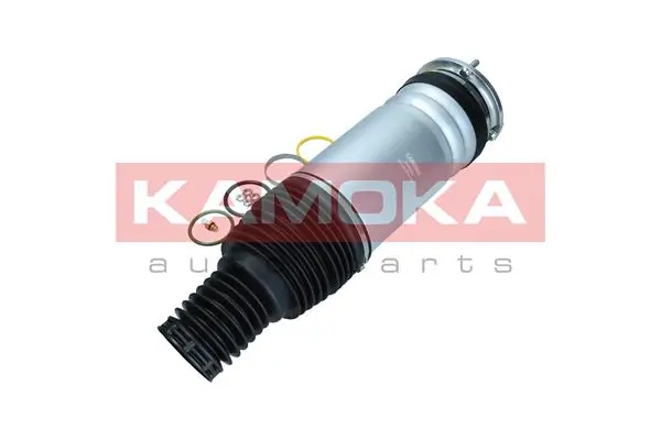 Air Spring, suspension 2079035
