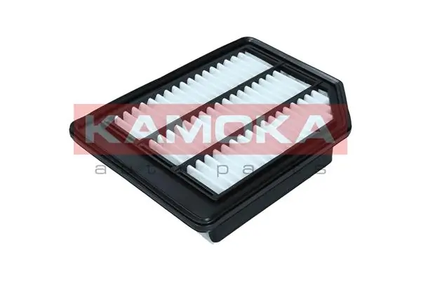 Air Filter F253101