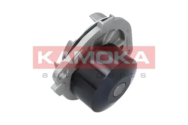 Water Pump, engine cooling T0111