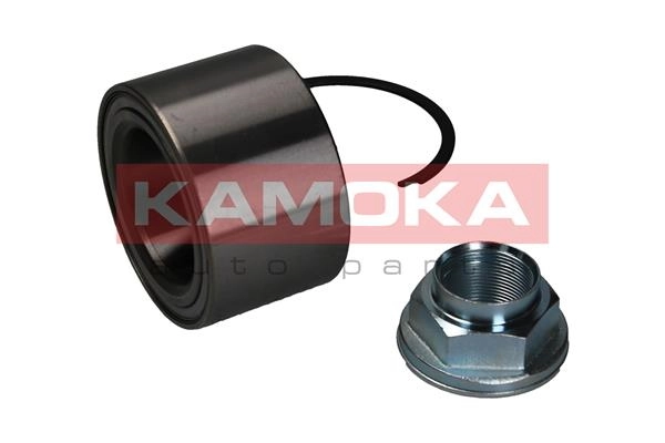 Wheel Bearing Kit 5600062