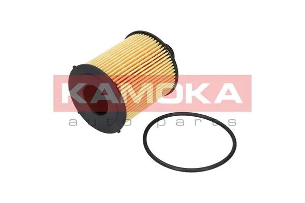 Oil Filter F111501