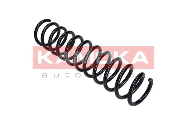 Suspension Spring 2120238