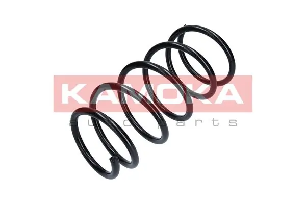 Suspension Spring 2110048